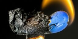 Ashampoo Burning Studio 2021 Crackeado [v22.0.8]