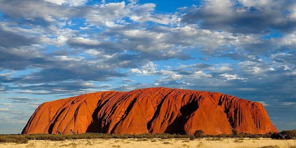 musicbrainz-picard-tagger-musica-gratis-featured